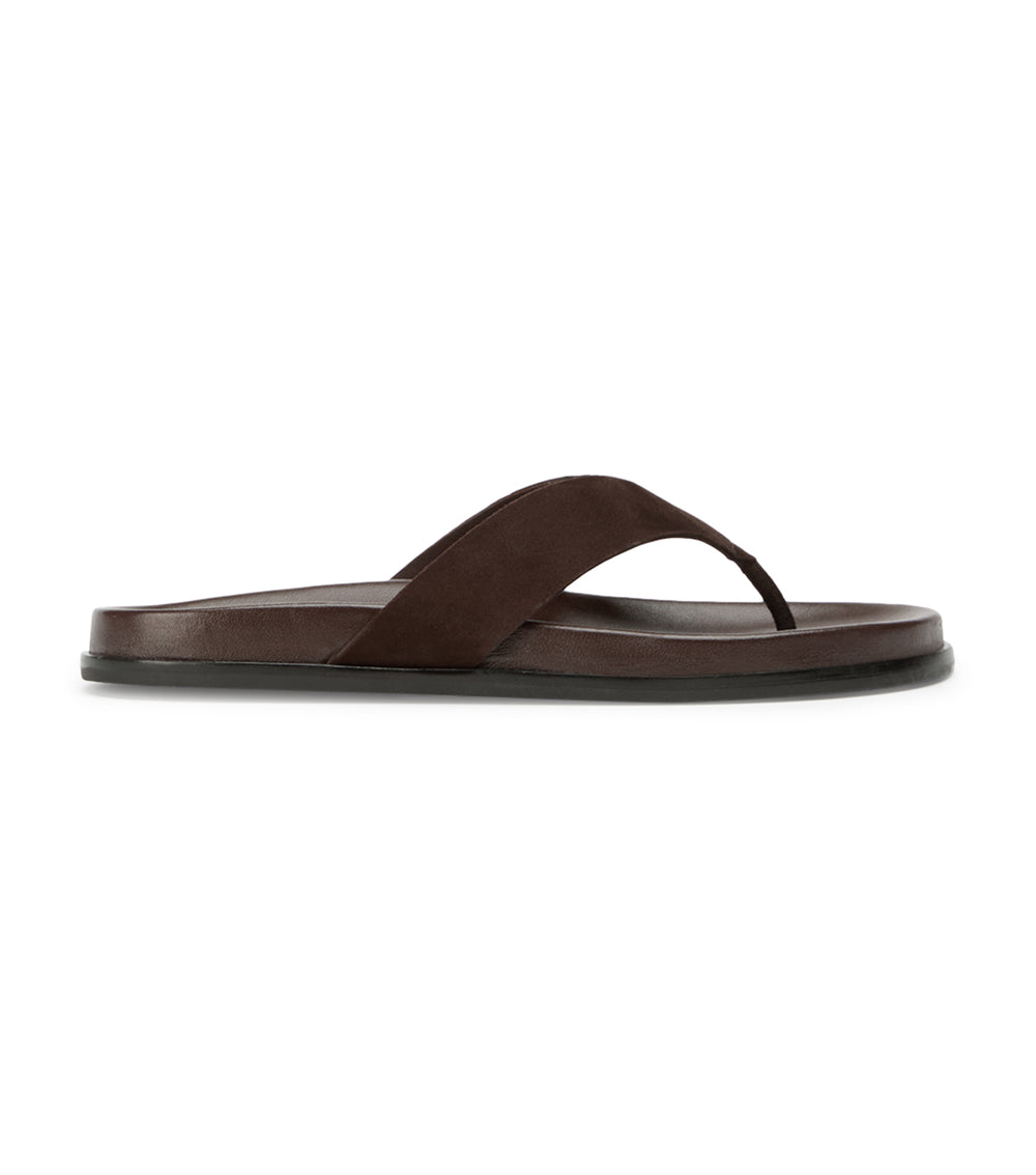 Tony Bianco Loop Espresso Suede - Espresso Suede