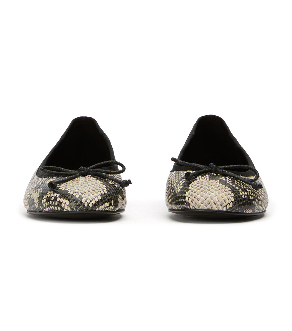 Tony Bianco Comma Ecru Snake - Ecru Snake