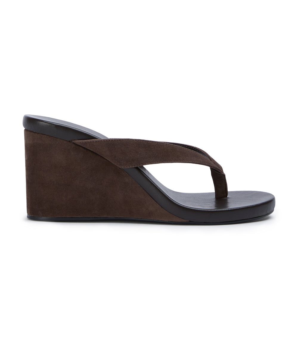 Tony Bianco Avanti Espresso Suede - Espresso Suede