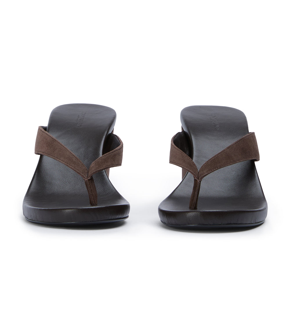 Tony Bianco Avanti Espresso Suede - Espresso Suede