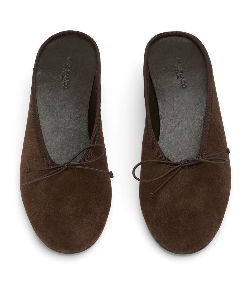 Tony Bianco Maxy Espresso Suede - Espresso Suede