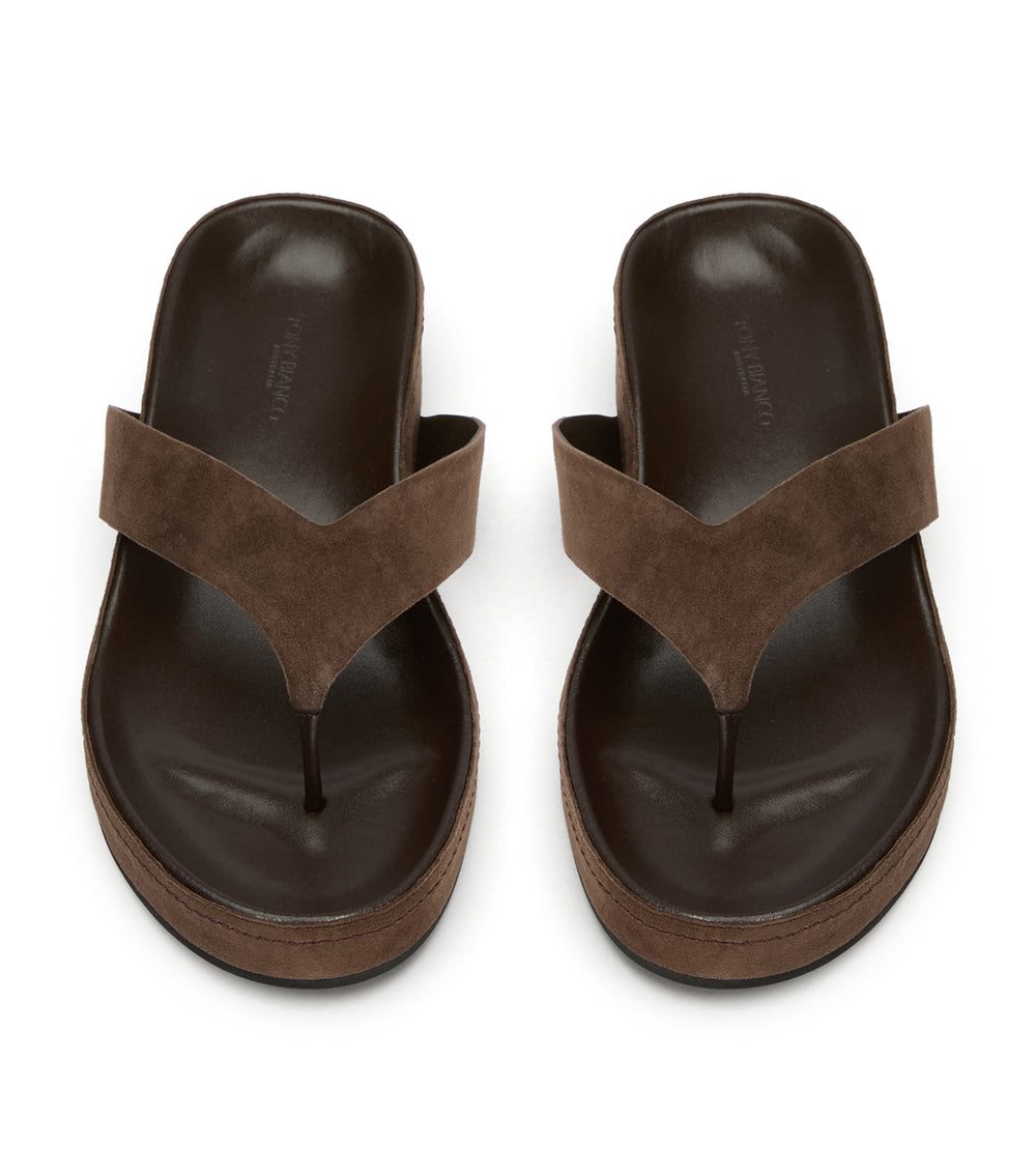 Tony Bianco Blaire Espresso Suede - Espresso Suede