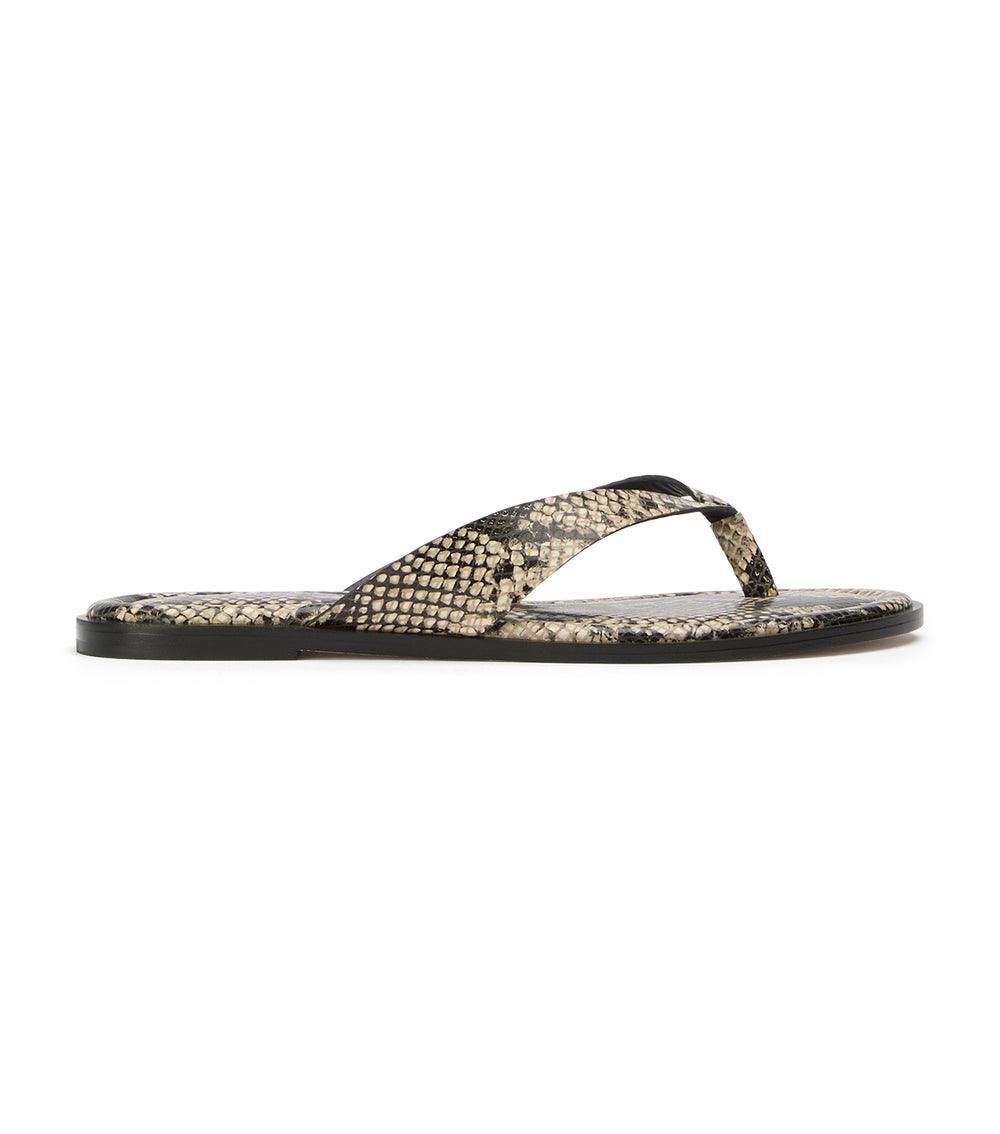 Tony Bianco Sahara Ecru Snake - Ecru Snake Tony Bianco Sahara Ecru Snake - Ecru Snake