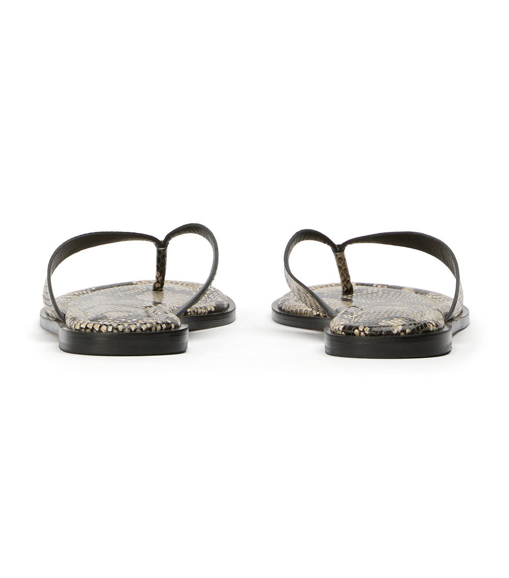 Tony Bianco Sahara Ecru Snake - Ecru Snake