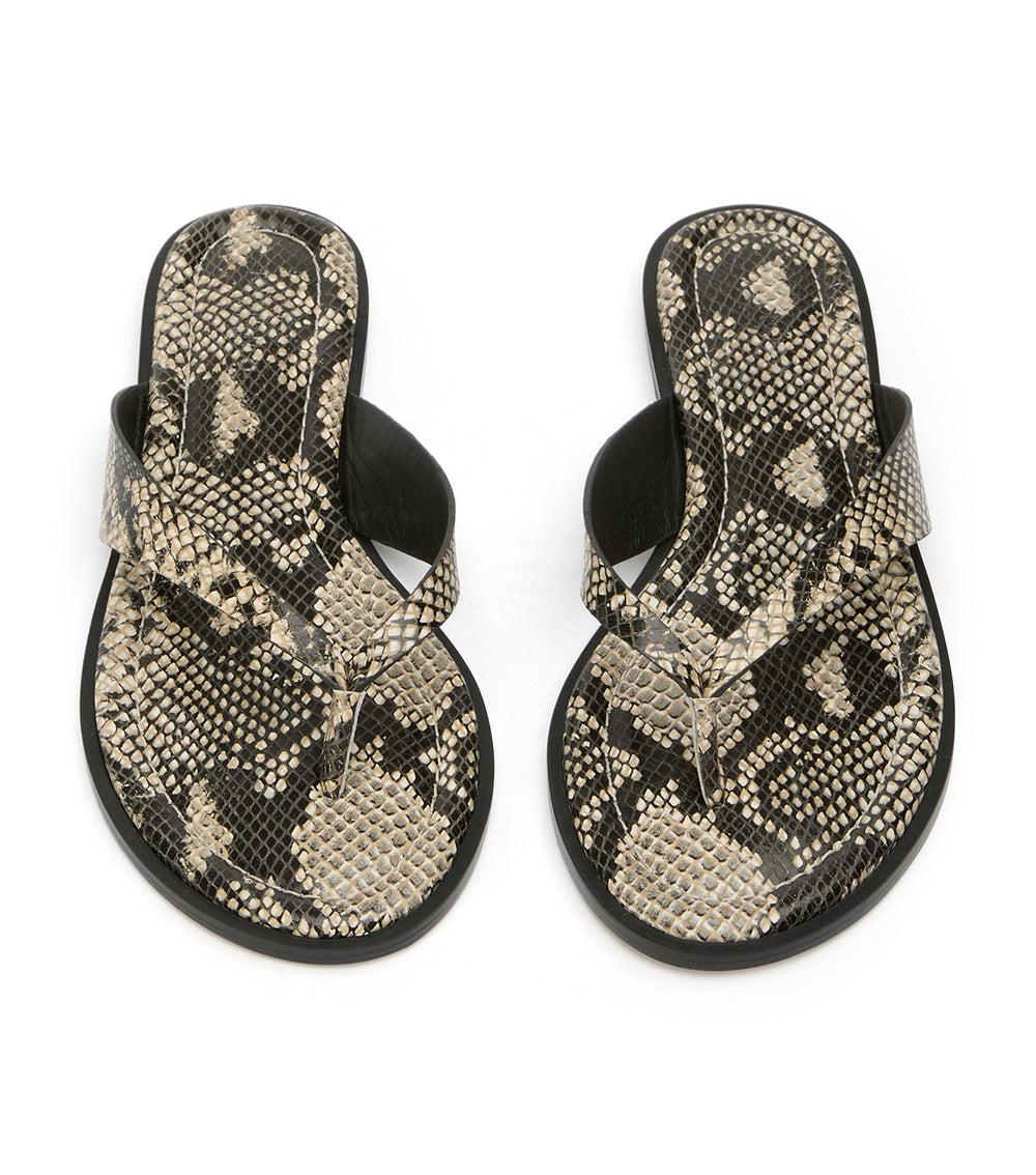 Tony Bianco Sahara Ecru Snake - Ecru Snake
